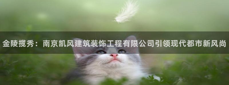 新航娱乐app下载