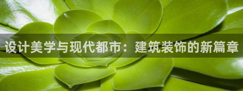 新航娱乐被国家认可吗
