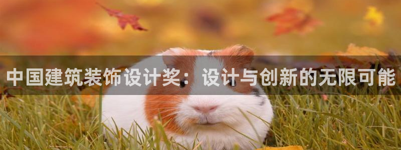 新航娱乐扣款