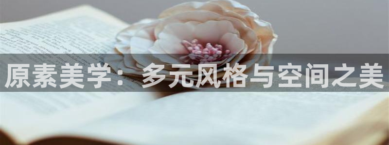 新航娱乐官网入口