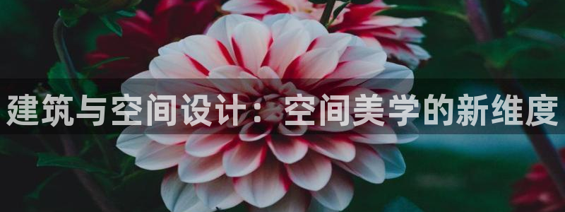 新航娱乐是正规平台吗