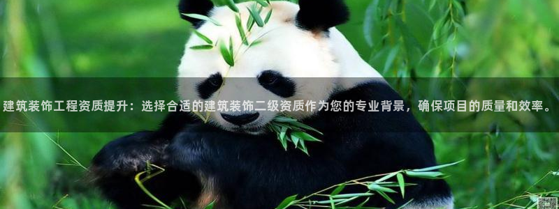 新航娱乐主管