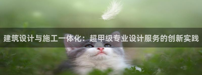 金城娱乐新航母