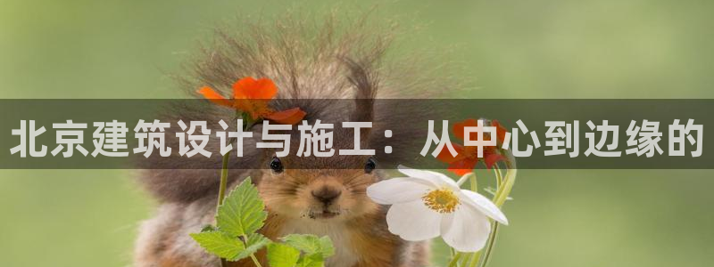 新航娱乐传媒招聘信息