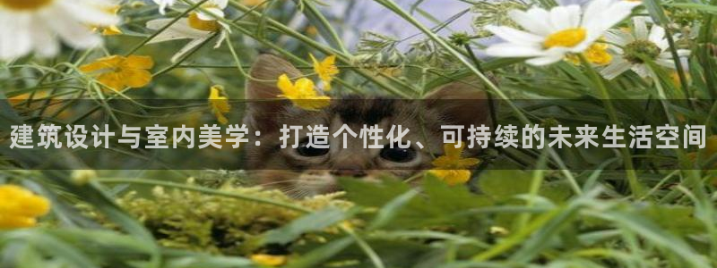 新航娱乐是干嘛的