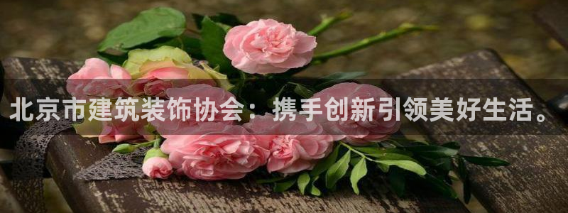 新航娱乐最新消息