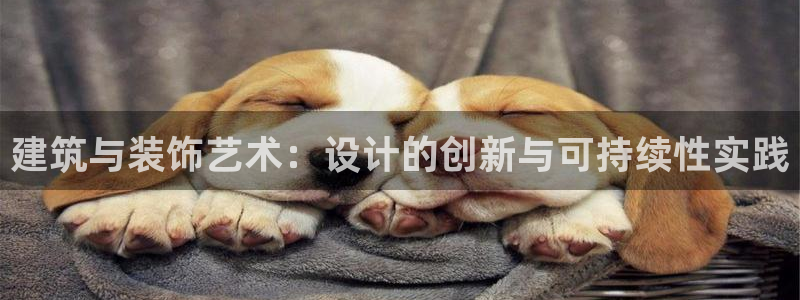 新航娱乐公司艺人