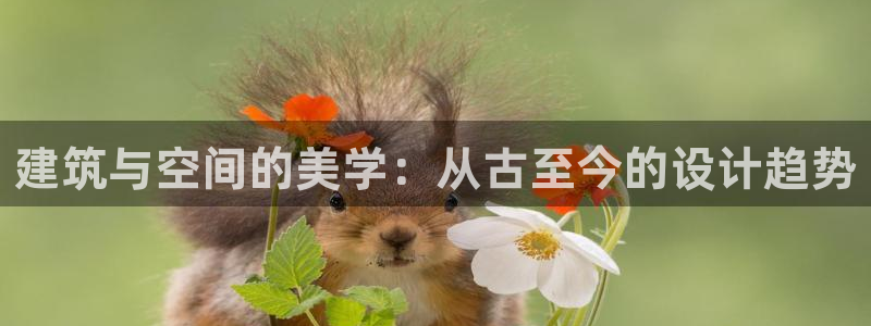 新航娱乐传媒怎么样啊