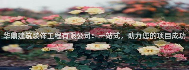 新航娱乐公司艺人招聘