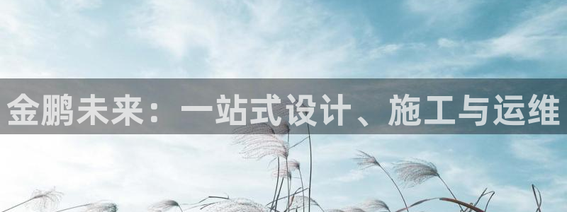 新航娱乐合法吗