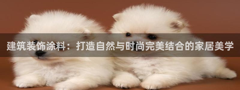 娱乐搞笑新航线