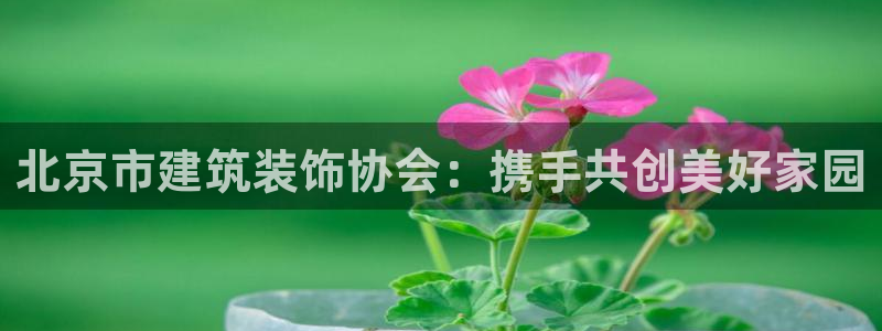 新航娱乐官方网站登录